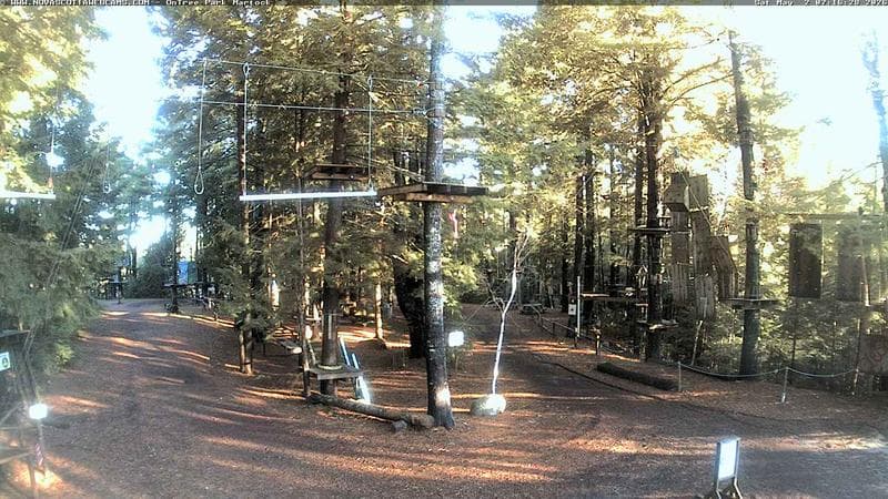 Ontree Park