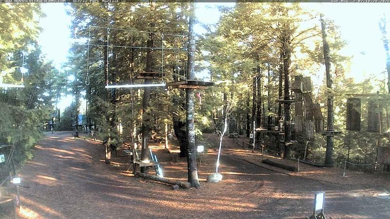 Ontree Park