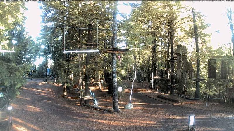 Ontree Park