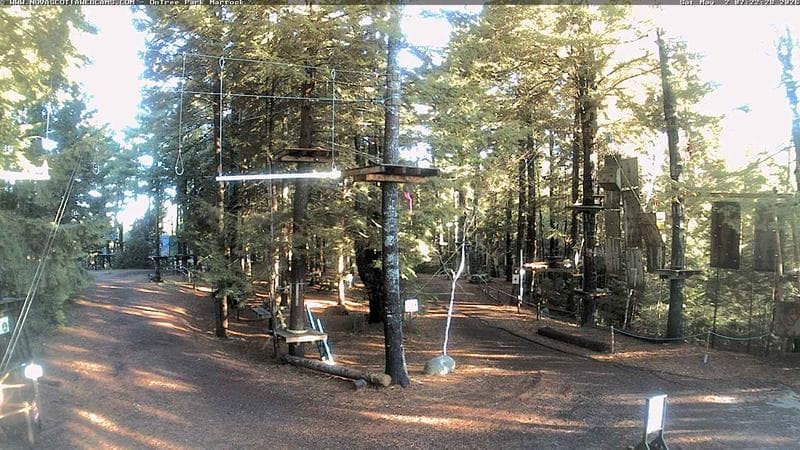Ontree Park