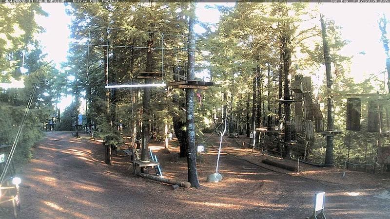 Ontree Park