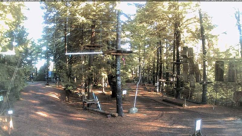 Ontree Park