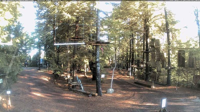 Ontree Park