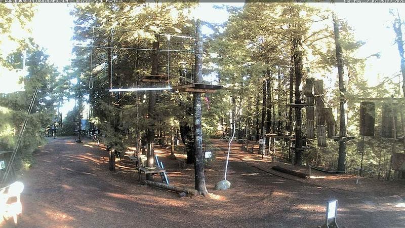 Ontree Park