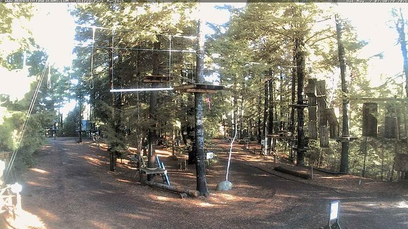 Ontree Park