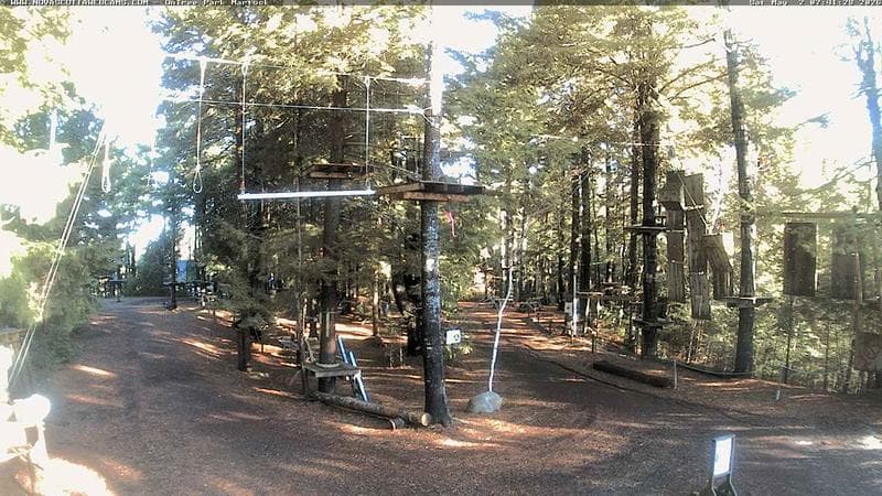 Ontree Park