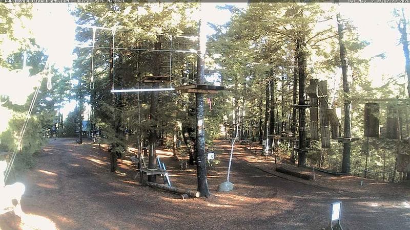 Ontree Park