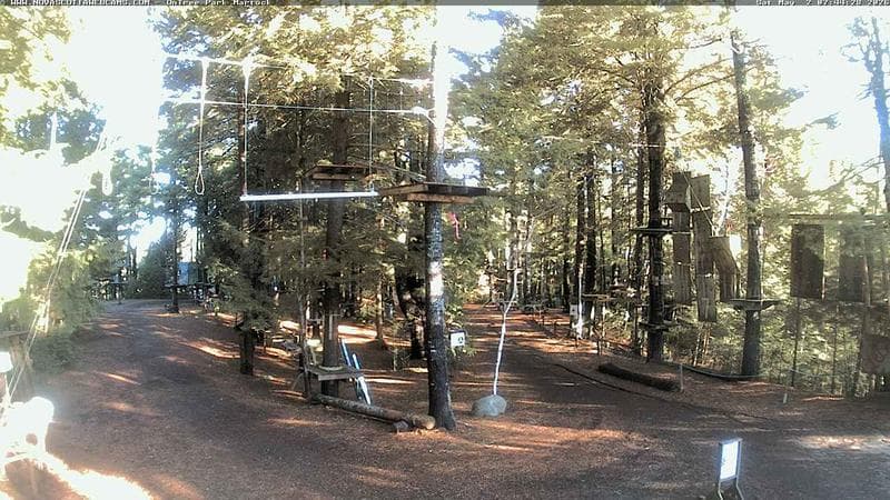 Ontree Park