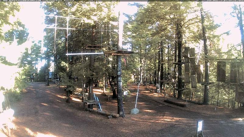 Ontree Park