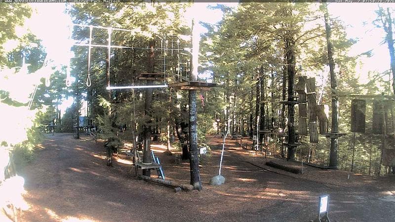 Ontree Park