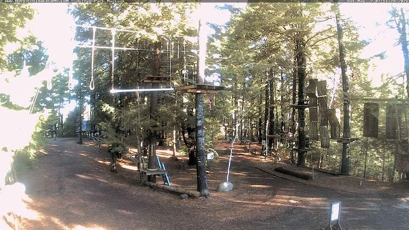 Ontree Park
