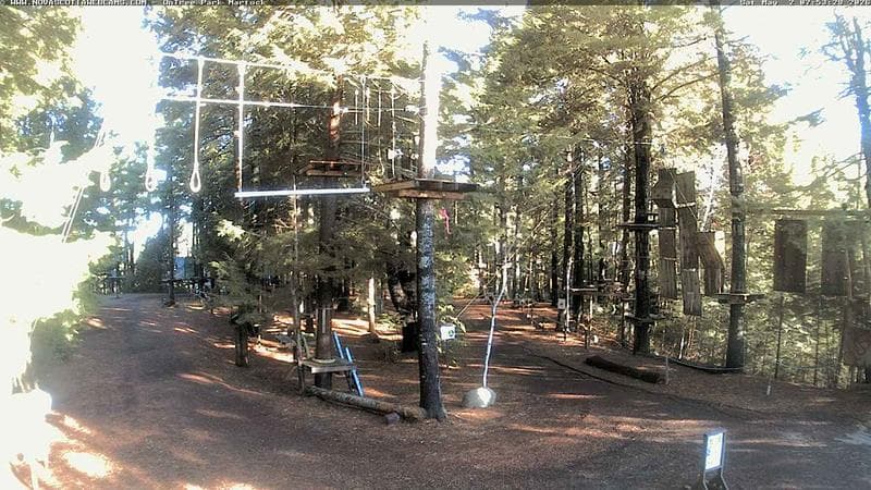 Ontree Park
