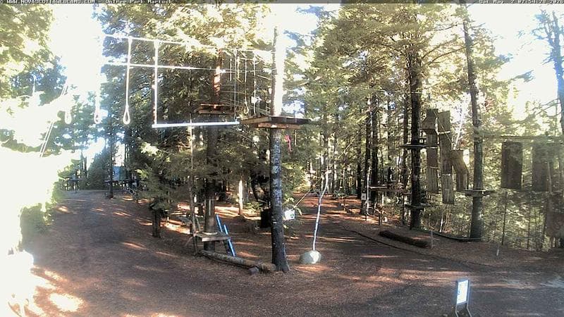 Ontree Park