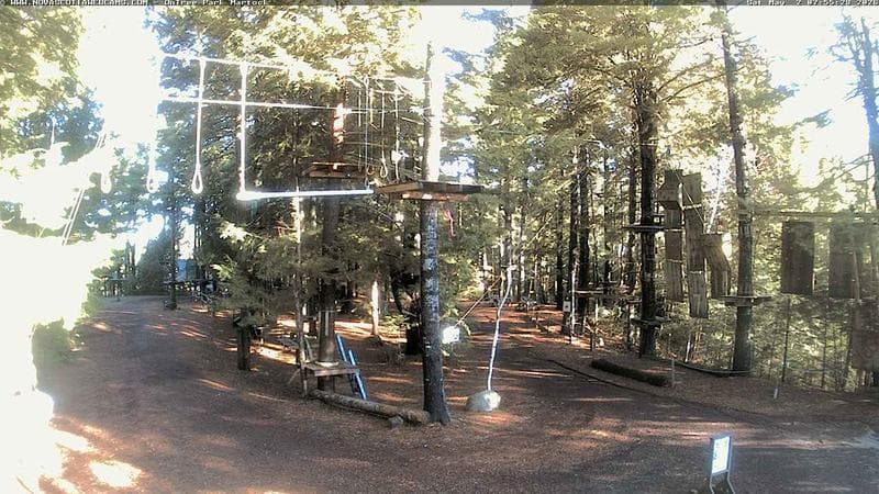 Ontree Park
