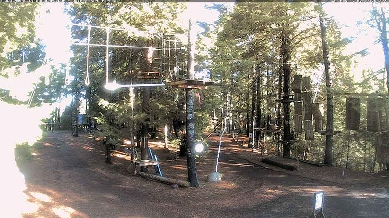 Ontree Park