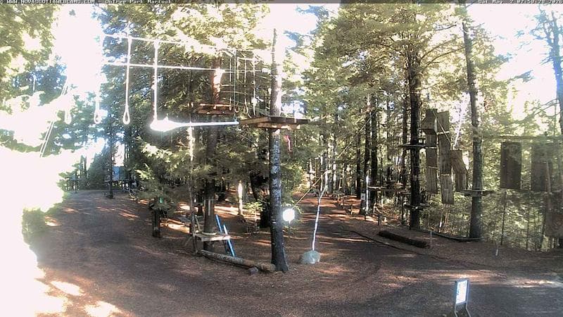 Ontree Park