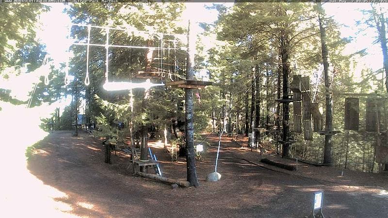 Ontree Park