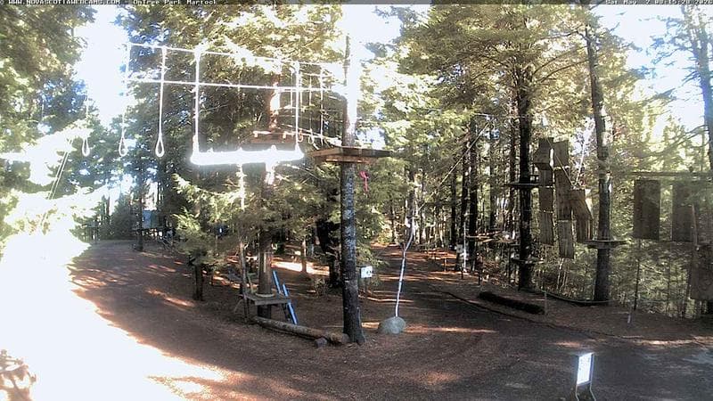 Ontree Park