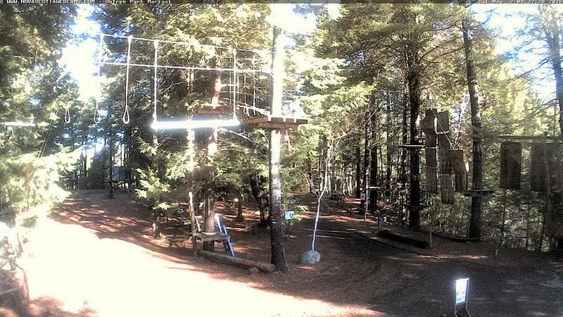 Ontree Park