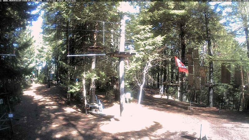 Ontree Park