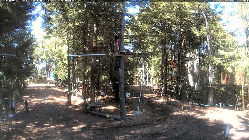Ontree Park