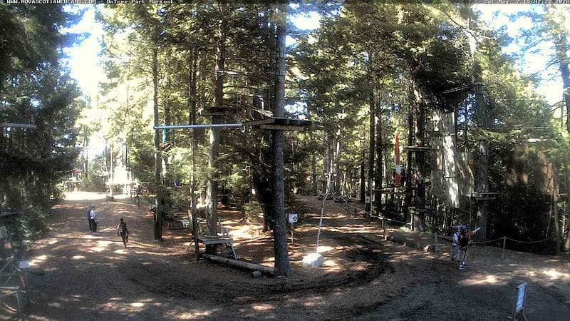 Ontree Park