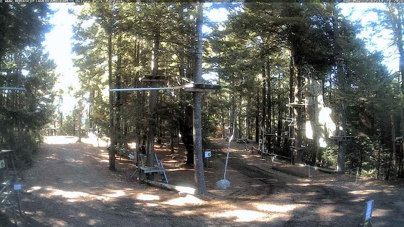 Ontree Park