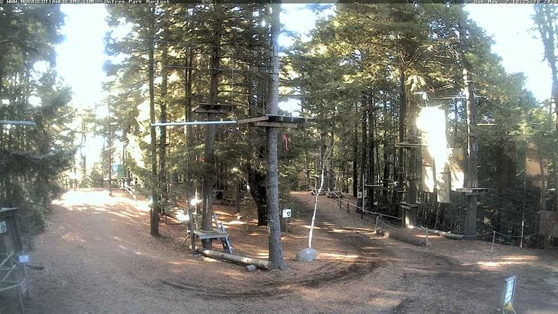 Ontree Park