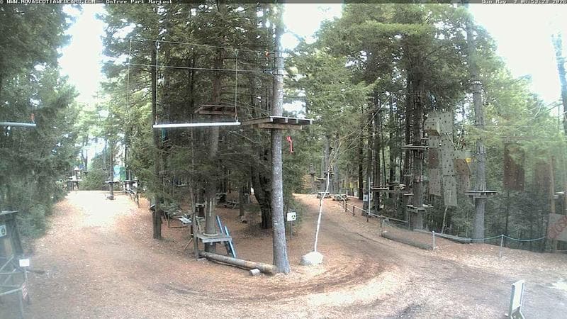 Ontree Park