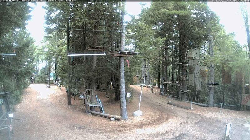 Ontree Park