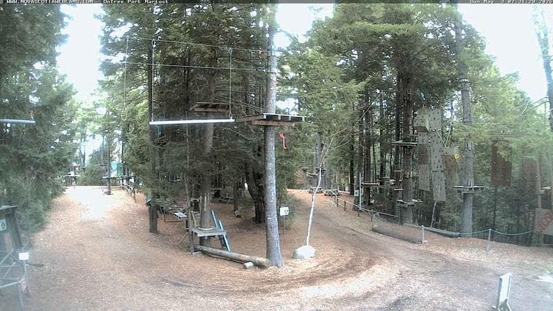 Ontree Park