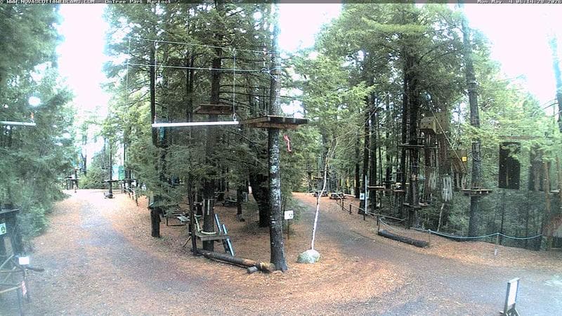 Ontree Park