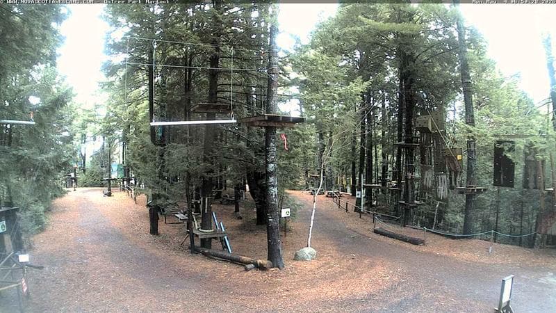Ontree Park