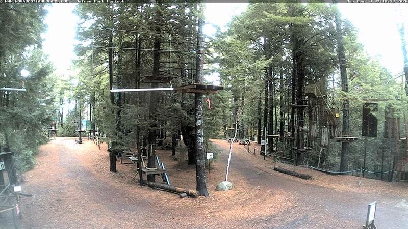 Ontree Park