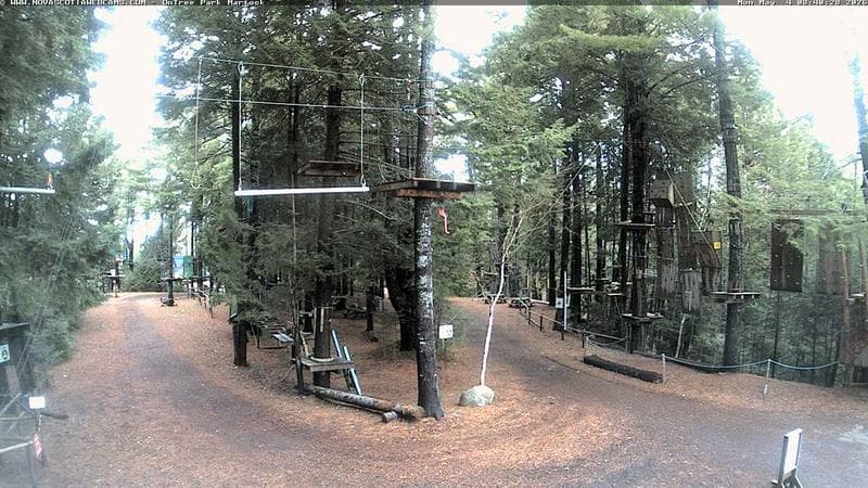 Ontree Park
