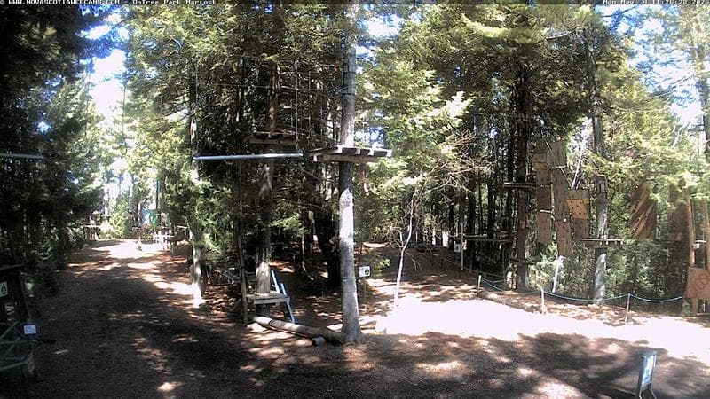 Ontree Park
