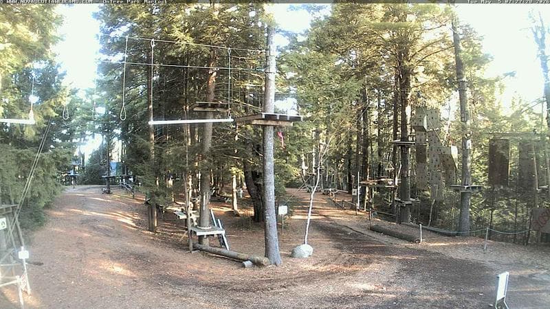 Ontree Park
