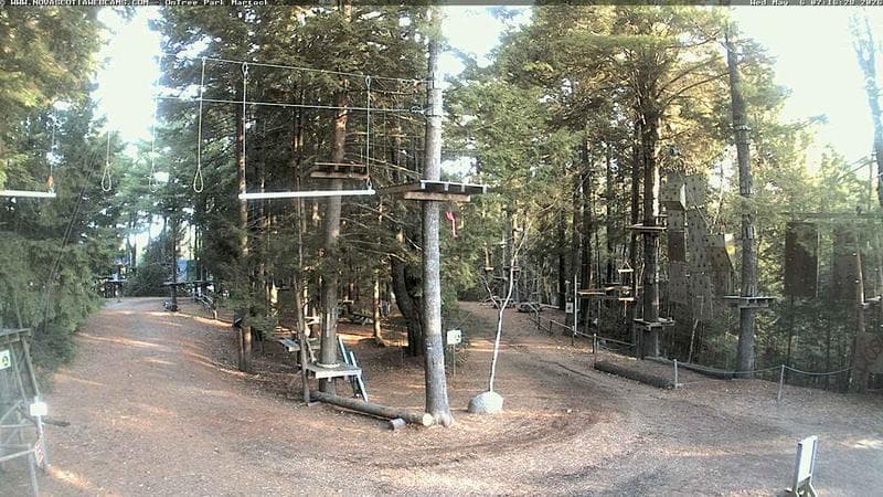 Ontree Park