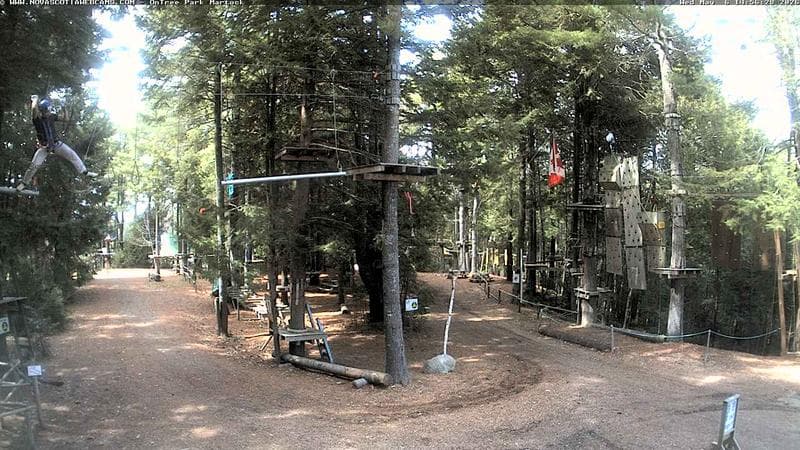 Ontree Park