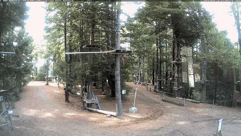 Ontree Park