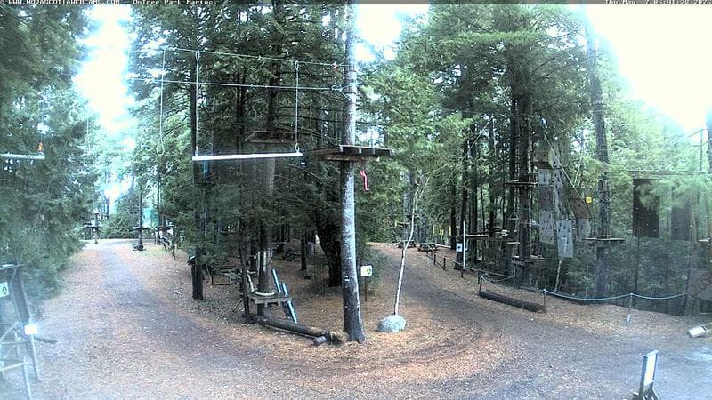 Ontree Park