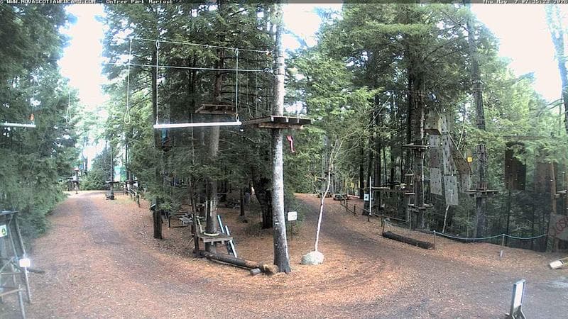 Ontree Park