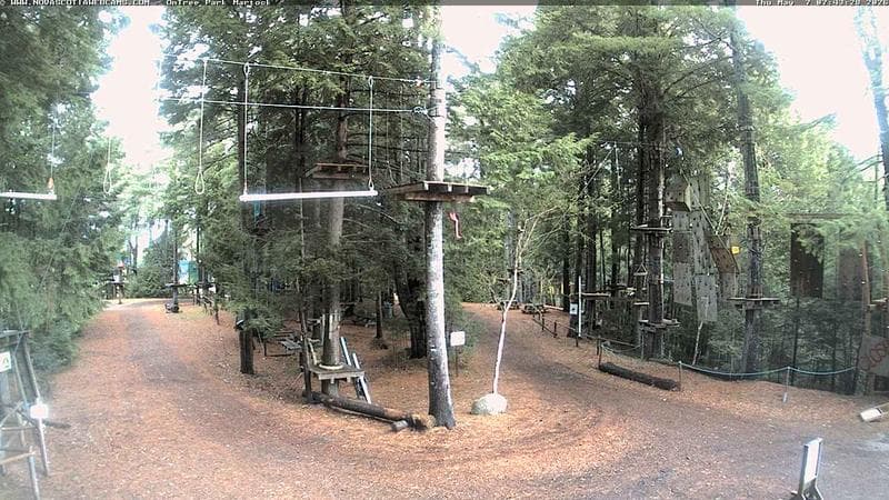 Ontree Park
