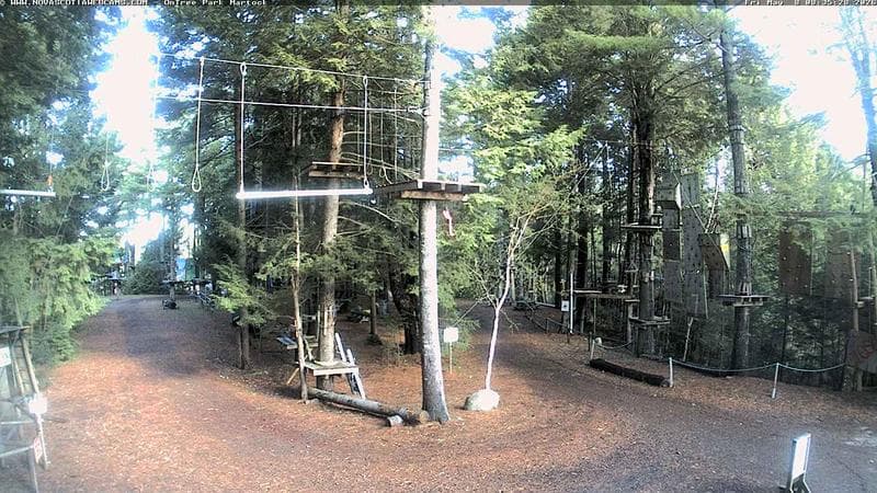 Ontree Park