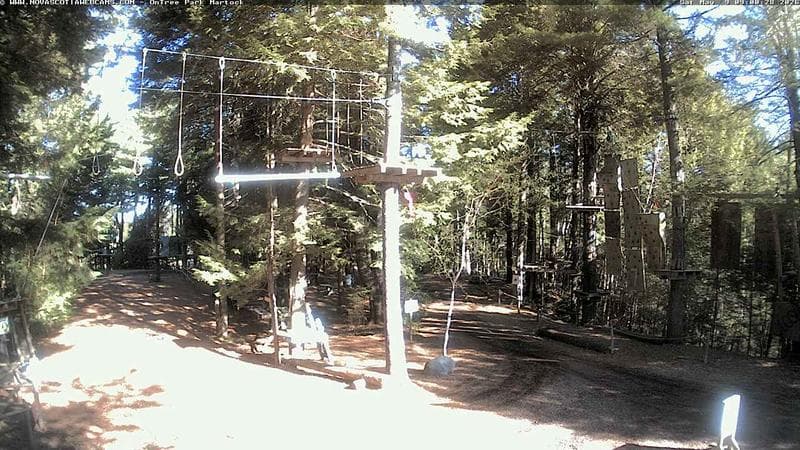 Ontree Park