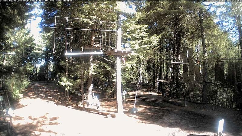 Ontree Park
