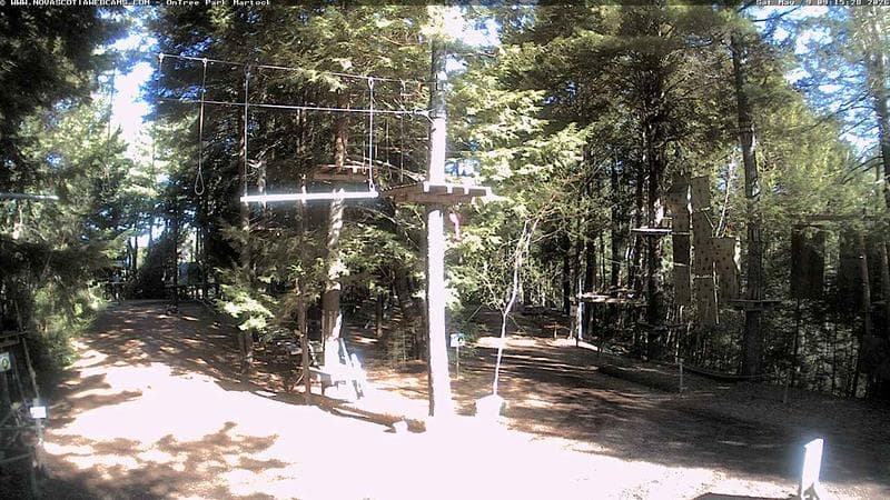 Ontree Park
