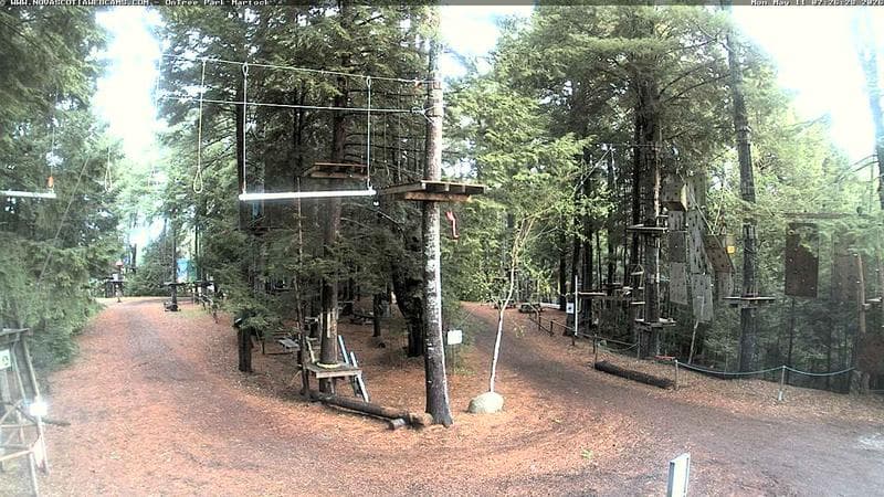 Ontree Park