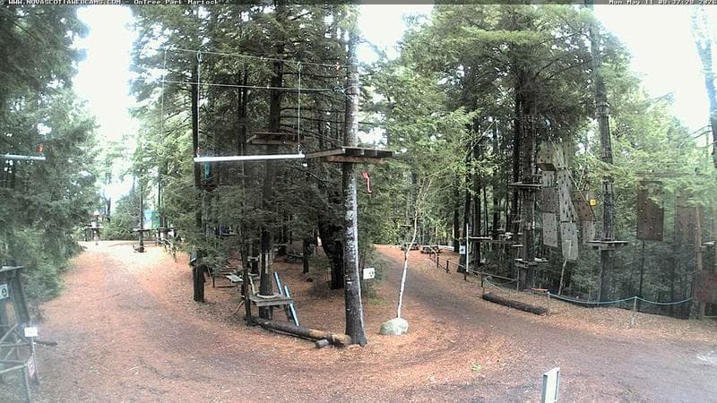 Ontree Park