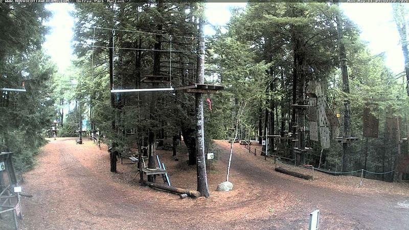 Ontree Park